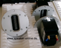 Einzelpaar RT60/10-08 Bändchenhochtöner